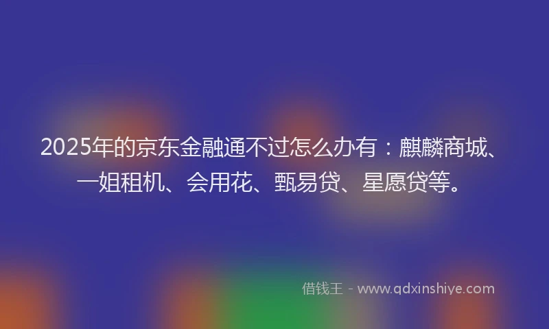 2025年的京东金融通不过怎么办有：麒麟商城、一姐租机、会用花、甄易贷、星愿贷等。
