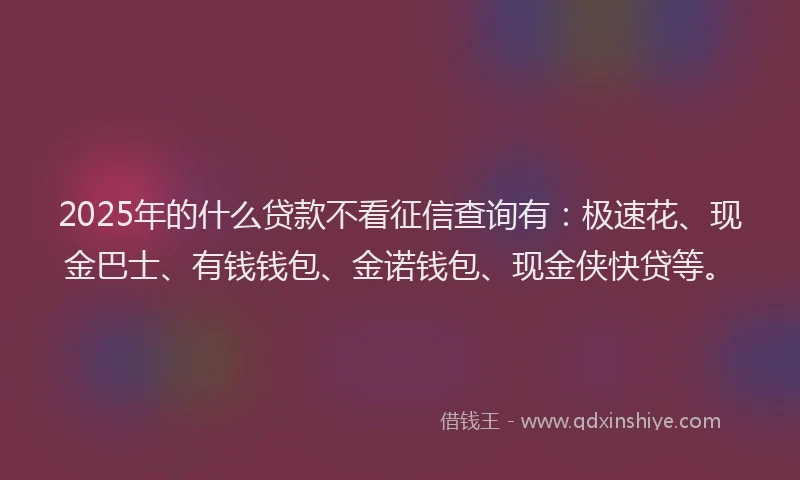 2025年的什么贷款不看征信查询有：极速花、现金巴士、有钱钱包、金诺钱包、现金侠快贷等。
