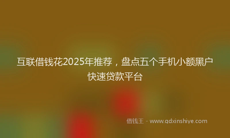 互联借钱花2025年推荐，盘点五个手机小额黑户快速贷款平台