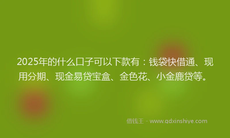 2025年的什么口子可以下款有：钱袋快借通、现用分期、现金易贷宝盒、金色花、小金鹿贷等。