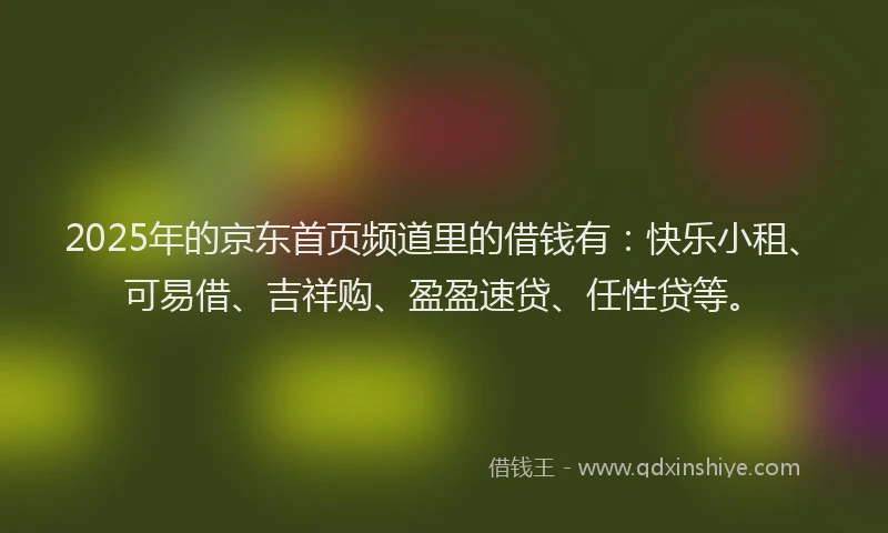 2025年的京东首页频道里的借钱有：快乐小租、可易借、吉祥购、盈盈速贷、任性贷等。