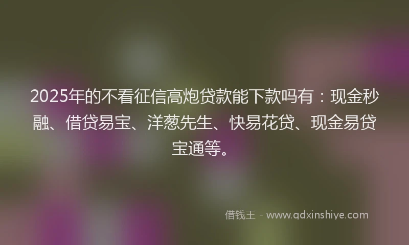 2025年的不看征信高炮贷款能下款吗有：现金秒融、借贷易宝、洋葱先生、快易花贷、现金易贷宝通等。