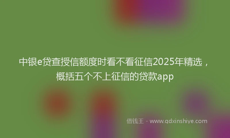 中银e贷查授信额度时看不看征信2025年精选，概括五个不上征信的贷款app