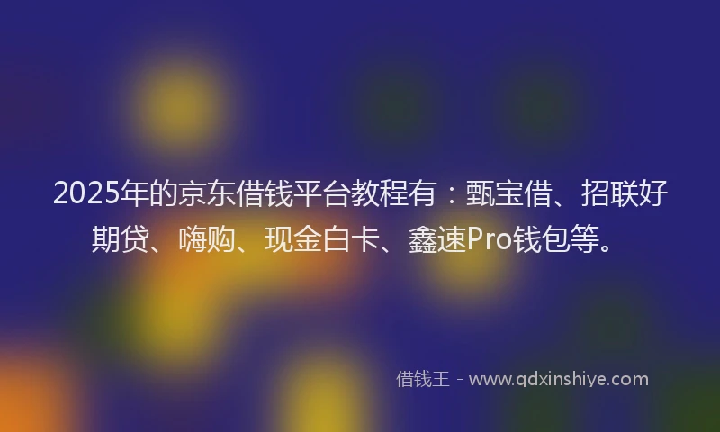 2025年的京东借钱平台教程有：甄宝借、招联好期贷、嗨购、现金白卡、鑫速Pro钱包等。