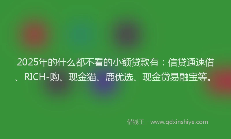 2025年的什么都不看的小额贷款有：信贷通速借、RICH-购、现金猫、鹿优选、现金贷易融宝等。