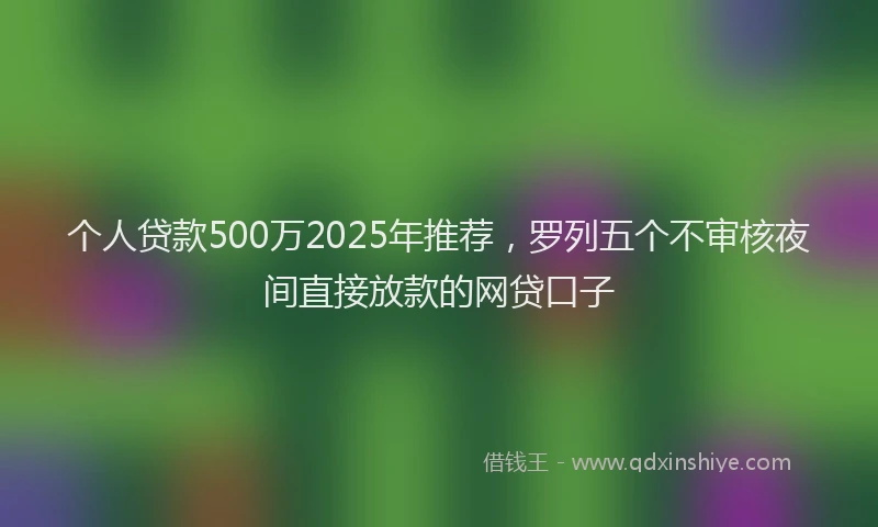 个人贷款500万2025年推荐，罗列五个不审核夜间直接放款的网贷口子