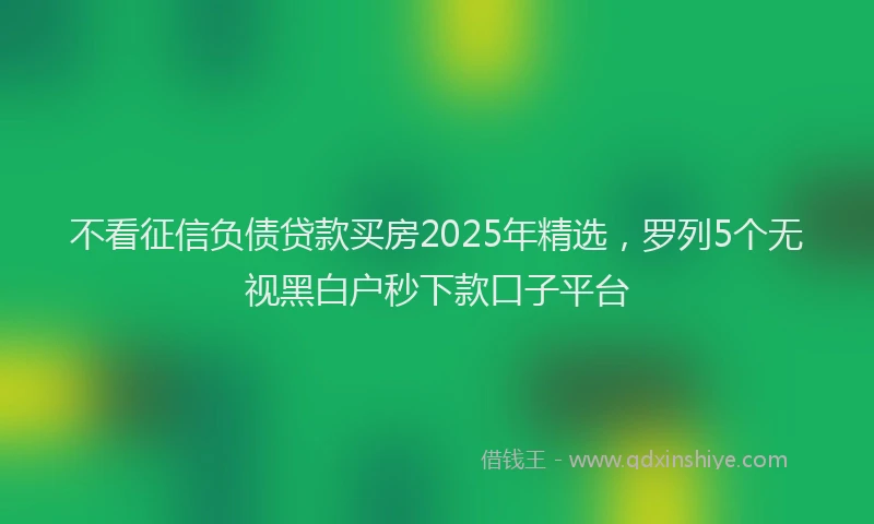 不看征信负债贷款买房2025年精选，罗列5个无视黑白户秒下款口子平台