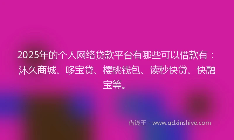 2025年的个人网络贷款平台有哪些可以借款有：沐久商城、哆宝贷、樱桃钱包、读秒快贷、快融宝等。