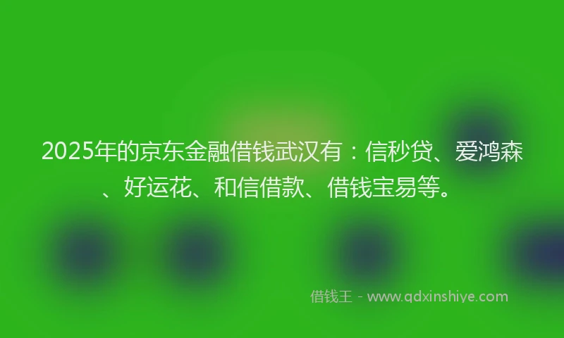 2025年的京东金融借钱武汉有：信秒贷、爱鸿森、好运花、和信借款、借钱宝易等。