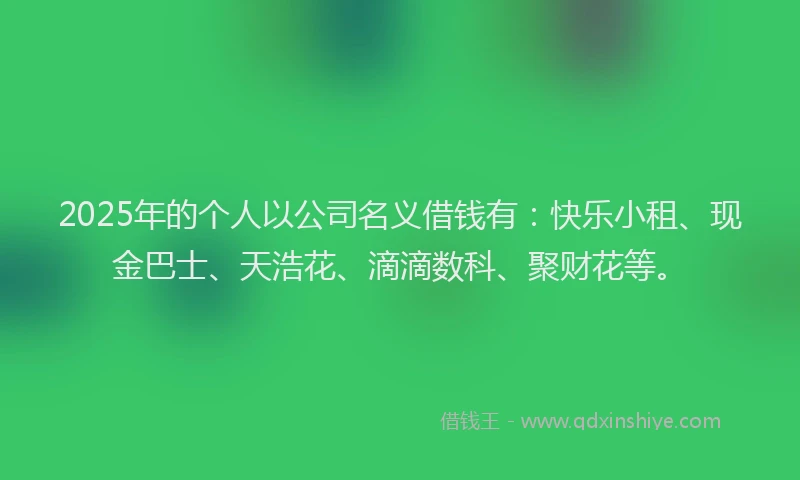 2025年的个人以公司名义借钱有：快乐小租、现金巴士、天浩花、滴滴数科、聚财花等。