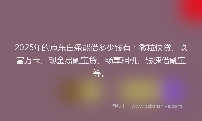 2025年的京东白条能借多少钱有：微粒快贷、玖富万卡、现金易融宝贷、畅享租机、钱速借融宝等。