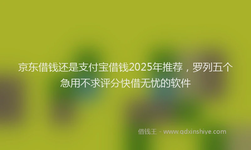 京东借钱还是支付宝借钱2025年推荐，罗列五个急用不求评分快借无忧的软件