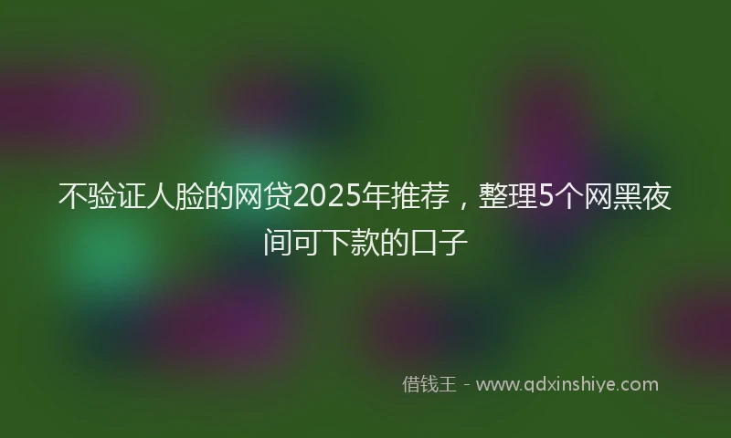 不验证人脸的网贷2025年推荐，整理5个网黑夜间可下款的口子