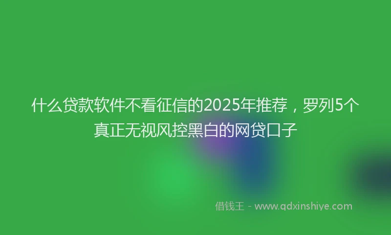 什么贷款软件不看征信的2025年推荐，罗列5个真正无视风控黑白的网贷口子