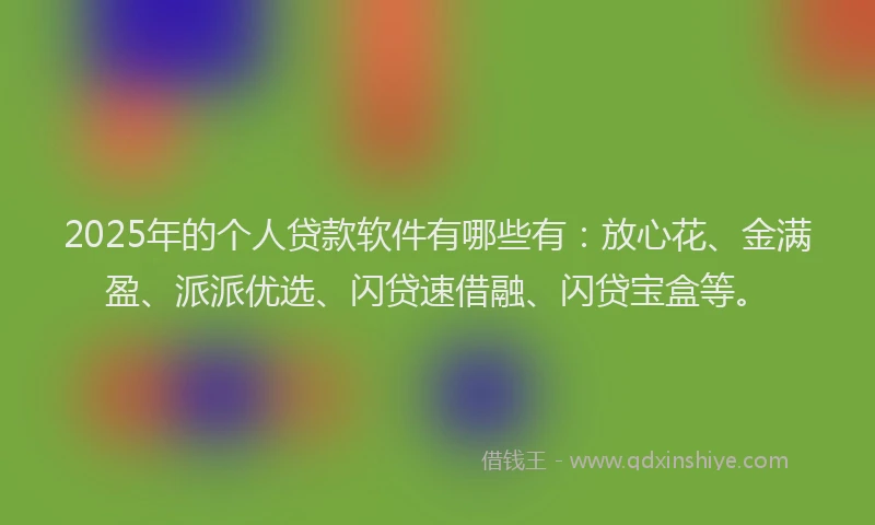 2025年的个人贷款软件有哪些有：放心花、金满盈、派派优选、闪贷速借融、闪贷宝盒等。