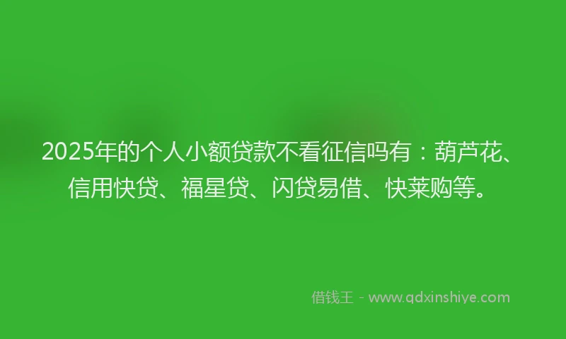 2025年的个人小额贷款不看征信吗有：葫芦花、信用快贷、福星贷、闪贷易借、快莱购等。