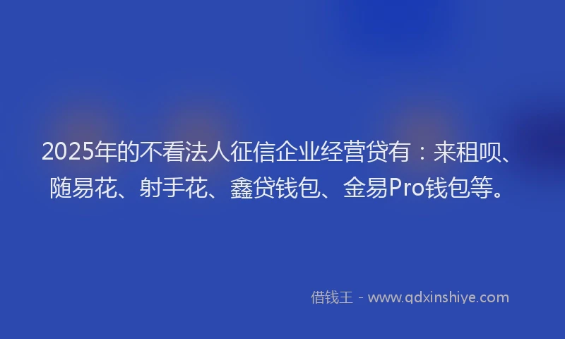 2025年的不看法人征信企业经营贷有：来租呗、随易花、射手花、鑫贷钱包、金易Pro钱包等。