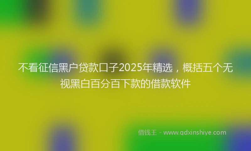 不看征信黑户贷款口子2025年精选，概括五个无视黑白百分百下款的借款软件