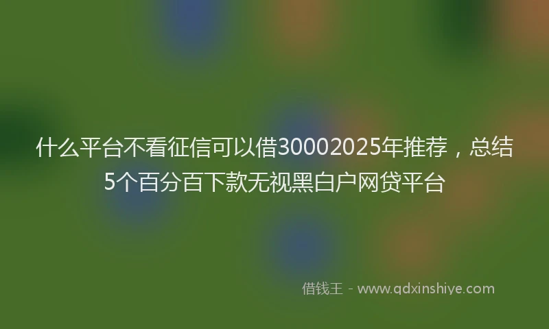 什么平台不看征信可以借30002025年推荐，总结5个百分百下款无视黑白户网贷平台