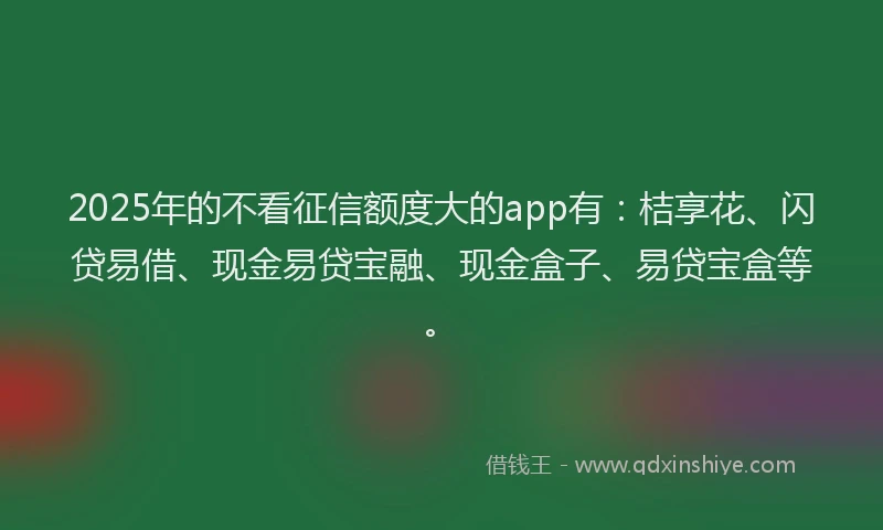 2025年的不看征信额度大的app有：桔享花、闪贷易借、现金易贷宝融、现金盒子、易贷宝盒等。