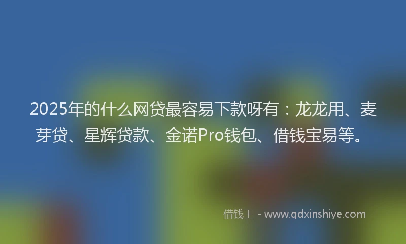 2025年的什么网贷最容易下款呀有：龙龙用、麦芽贷、星辉贷款、金诺Pro钱包、借钱宝易等。