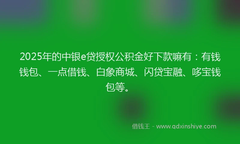 2025年的中银e贷授权公积金好下款嘛有：有钱钱包、一点借钱、白象商城、闪贷宝融、哆宝钱包等。
