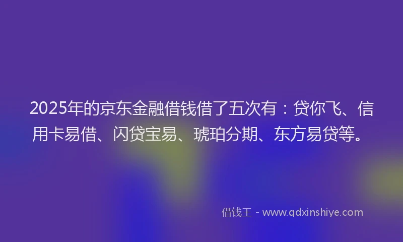 2025年的京东金融借钱借了五次有：贷你飞、信用卡易借、闪贷宝易、琥珀分期、东方易贷等。