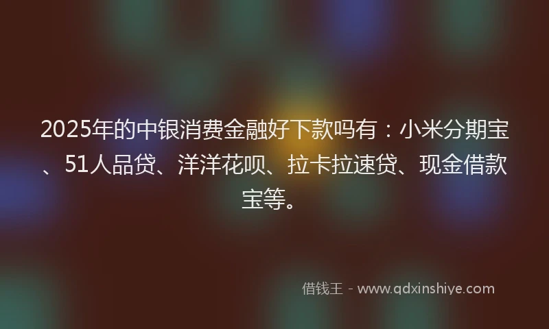 2025年的中银消费金融好下款吗有：小米分期宝、51人品贷、洋洋花呗、拉卡拉速贷、现金借款宝等。