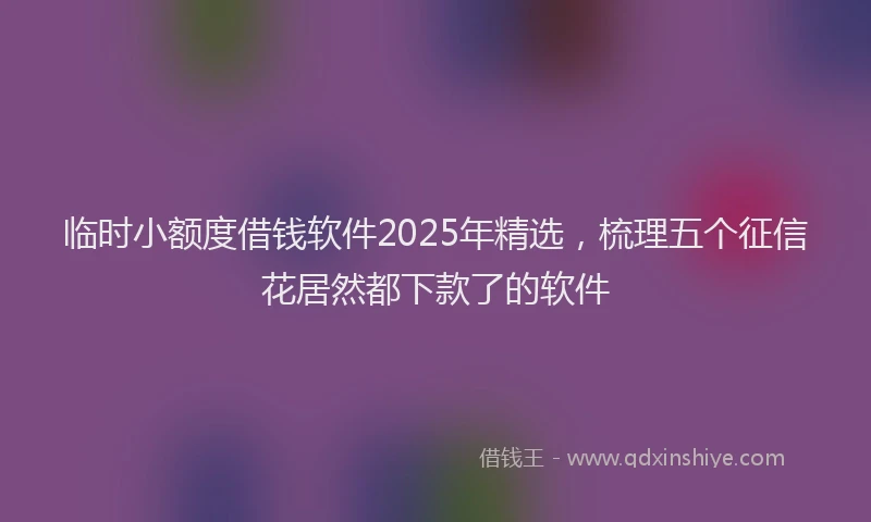 临时小额度借钱软件2025年精选，梳理五个征信花居然都下款了的软件