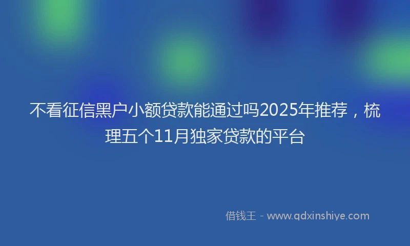 不看征信黑户小额贷款能通过吗2025年推荐，梳理五个11月独家贷款的平台