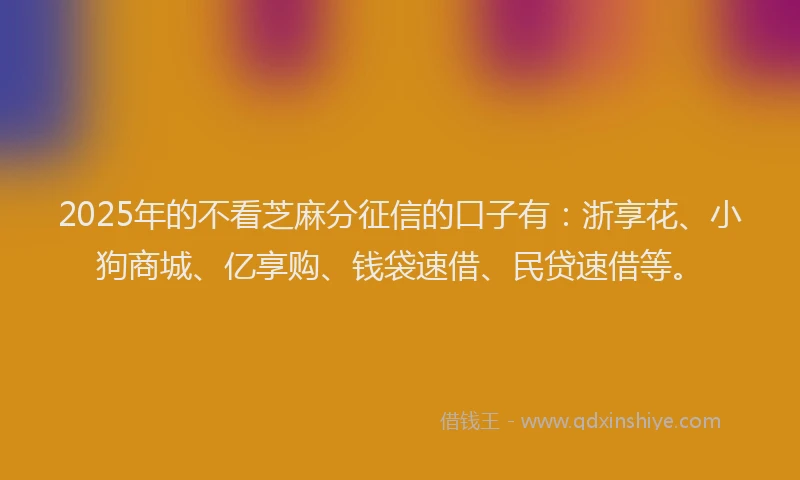 2025年的不看芝麻分征信的口子有：浙享花、小狗商城、亿享购、钱袋速借、民贷速借等。