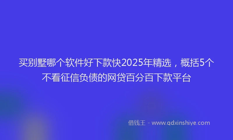 买别墅哪个软件好下款快2025年精选，概括5个不看征信负债的网贷百分百下款平台