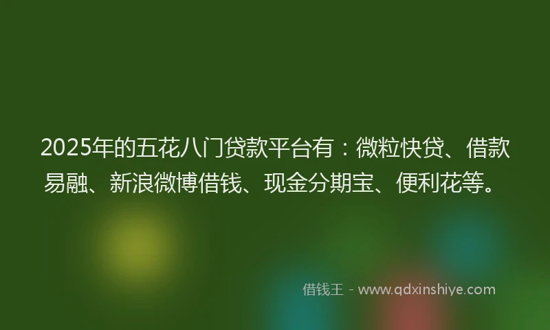 2025年的五花八门贷款平台有：微粒快贷、借款易融、新浪微博借钱、现金分期宝、便利花等。