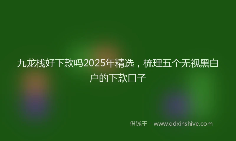 九龙栈好下款吗2025年精选，梳理五个无视黑白户的下款口子