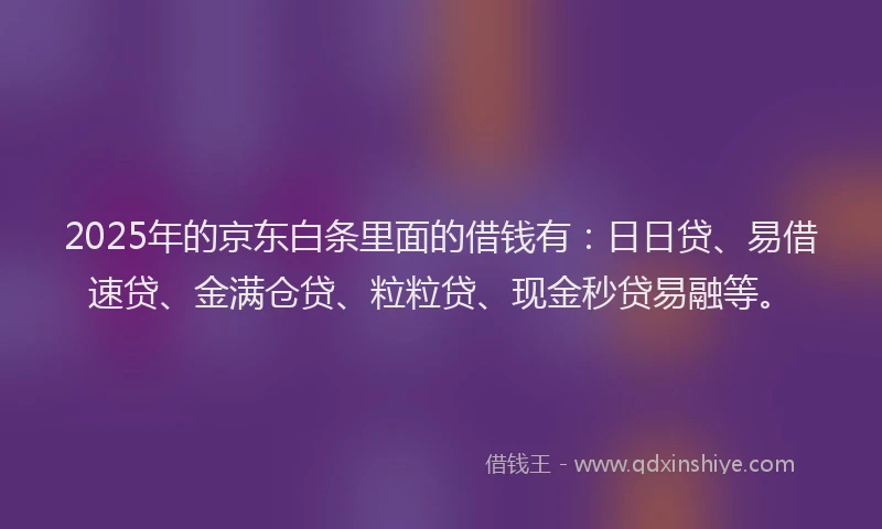 2025年的京东白条里面的借钱有：日日贷、易借速贷、金满仓贷、粒粒贷、现金秒贷易融等。