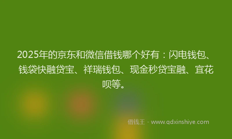 2025年的京东和微信借钱哪个好有：闪电钱包、钱袋快融贷宝、祥瑞钱包、现金秒贷宝融、宜花呗等。