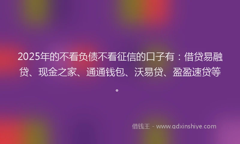 2025年的不看负债不看征信的口子有：借贷易融贷、现金之家、通通钱包、沃易贷、盈盈速贷等。