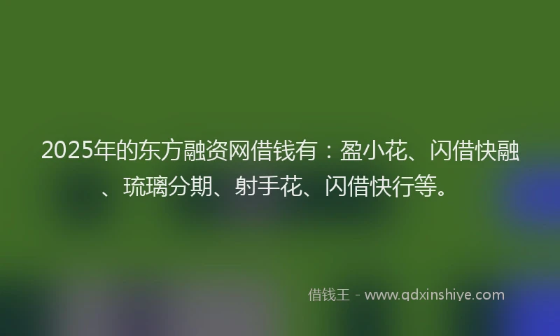 2025年的东方融资网借钱有：盈小花、闪借快融、琉璃分期、射手花、闪借快行等。