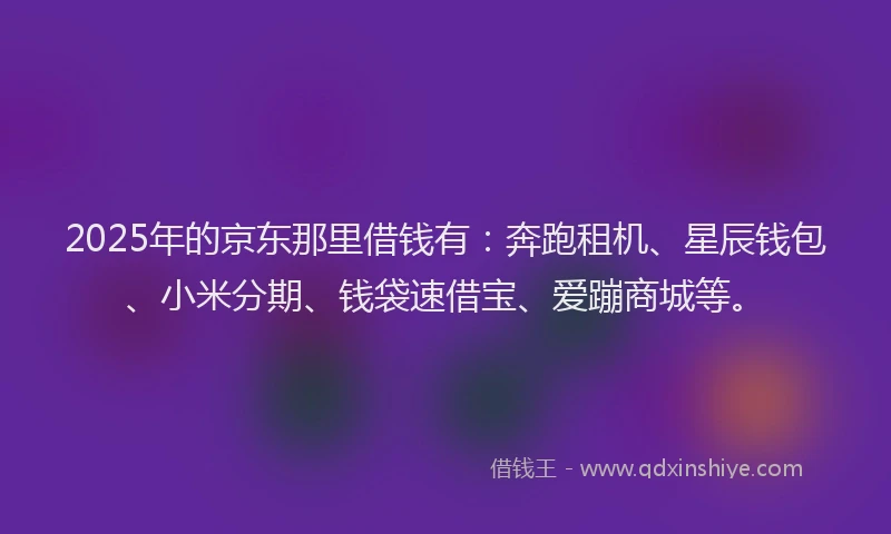 2025年的京东那里借钱有：奔跑租机、星辰钱包、小米分期、钱袋速借宝、爱蹦商城等。