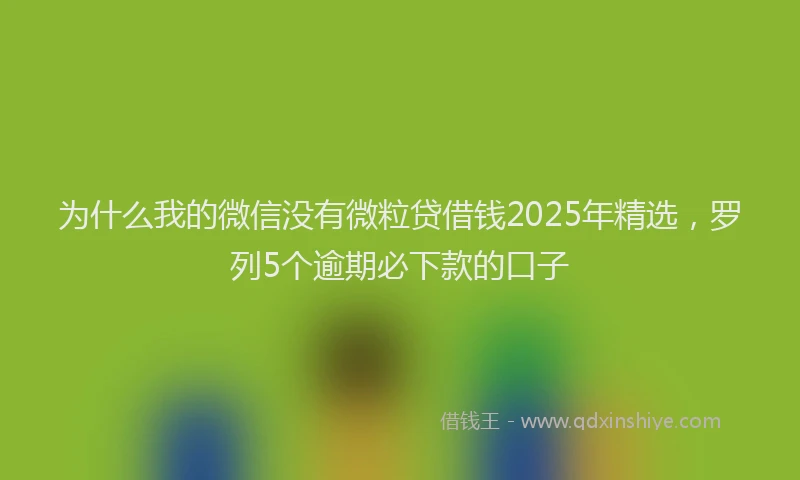 为什么我的微信没有微粒贷借钱2025年精选，罗列5个逾期必下款的口子