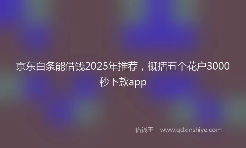 京东白条能借钱2025年推荐，概括五个花户3000秒下款app