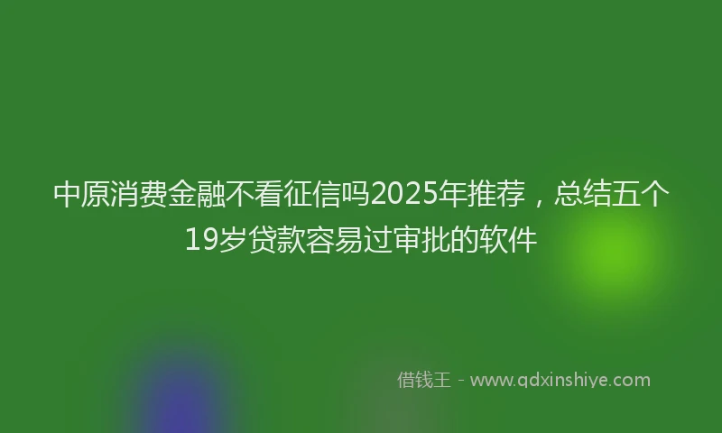 中原消费金融不看征信吗2025年推荐，总结五个19岁贷款容易过审批的软件