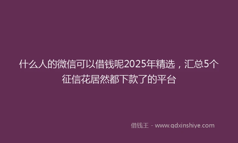什么人的微信可以借钱呢2025年精选，汇总5个征信花居然都下款了的平台