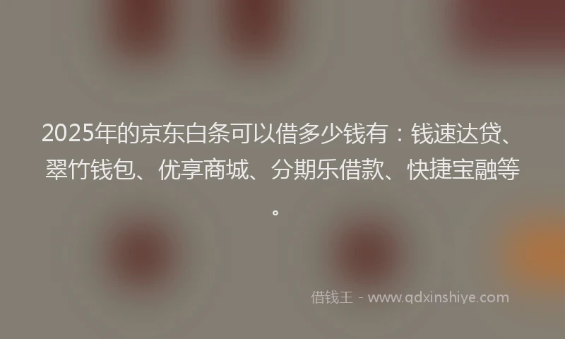 2025年的京东白条可以借多少钱有：钱速达贷、翠竹钱包、优享商城、分期乐借款、快捷宝融等。