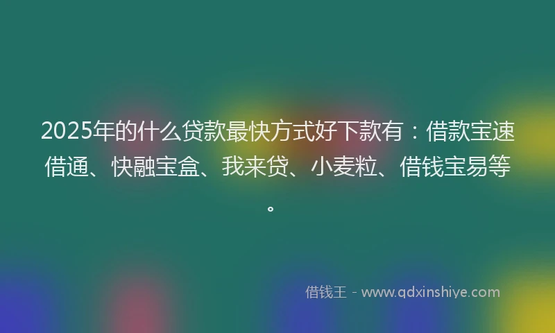 2025年的什么贷款最快方式好下款有：借款宝速借通、快融宝盒、我来贷、小麦粒、借钱宝易等。