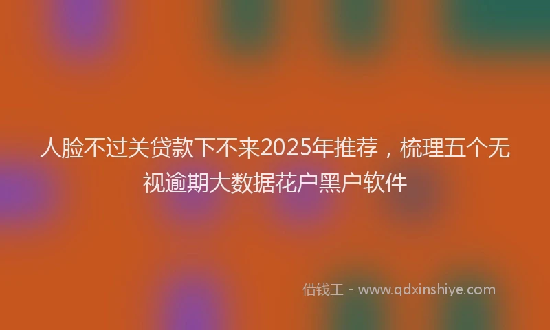 人脸不过关贷款下不来2025年推荐，梳理五个无视逾期大数据花户黑户软件