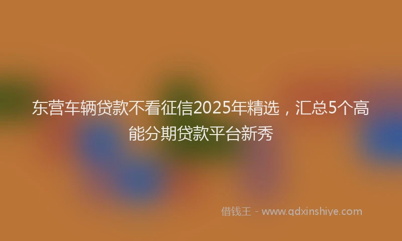 东营车辆贷款不看征信2025年精选，汇总5个高能分期贷款平台新秀
