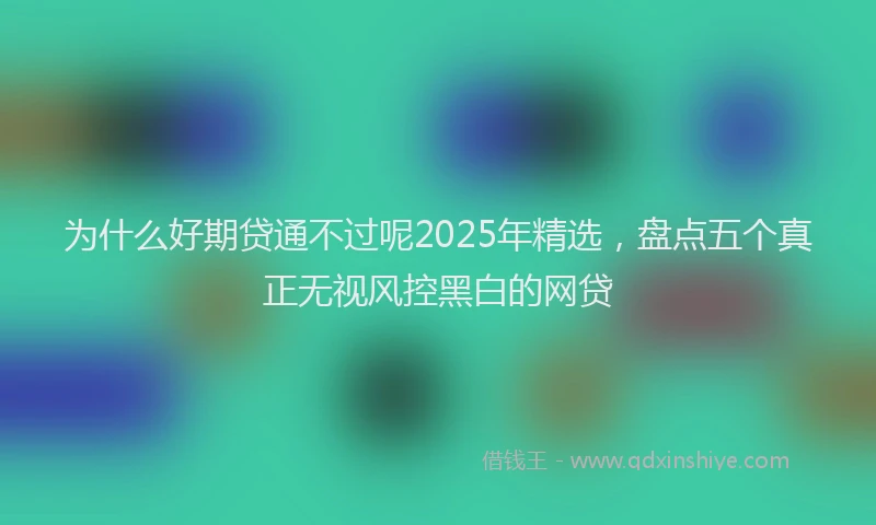 为什么好期贷通不过呢2025年精选，盘点五个真正无视风控黑白的网贷