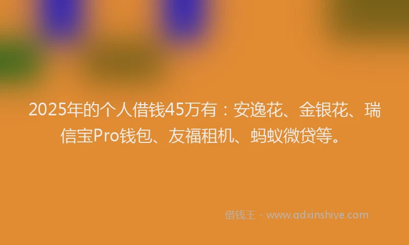 2025年的个人借钱45万有：安逸花、金银花、瑞信宝Pro钱包、友福租机、蚂蚁微贷等。