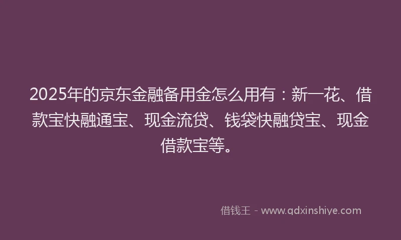 2025年的京东金融备用金怎么用有：新一花、借款宝快融通宝、现金流贷、钱袋快融贷宝、现金借款宝等。